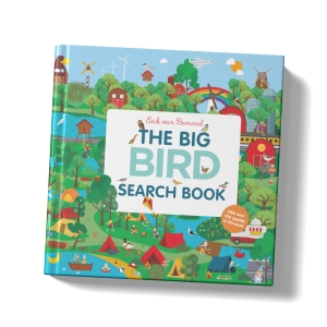 the big bird search book