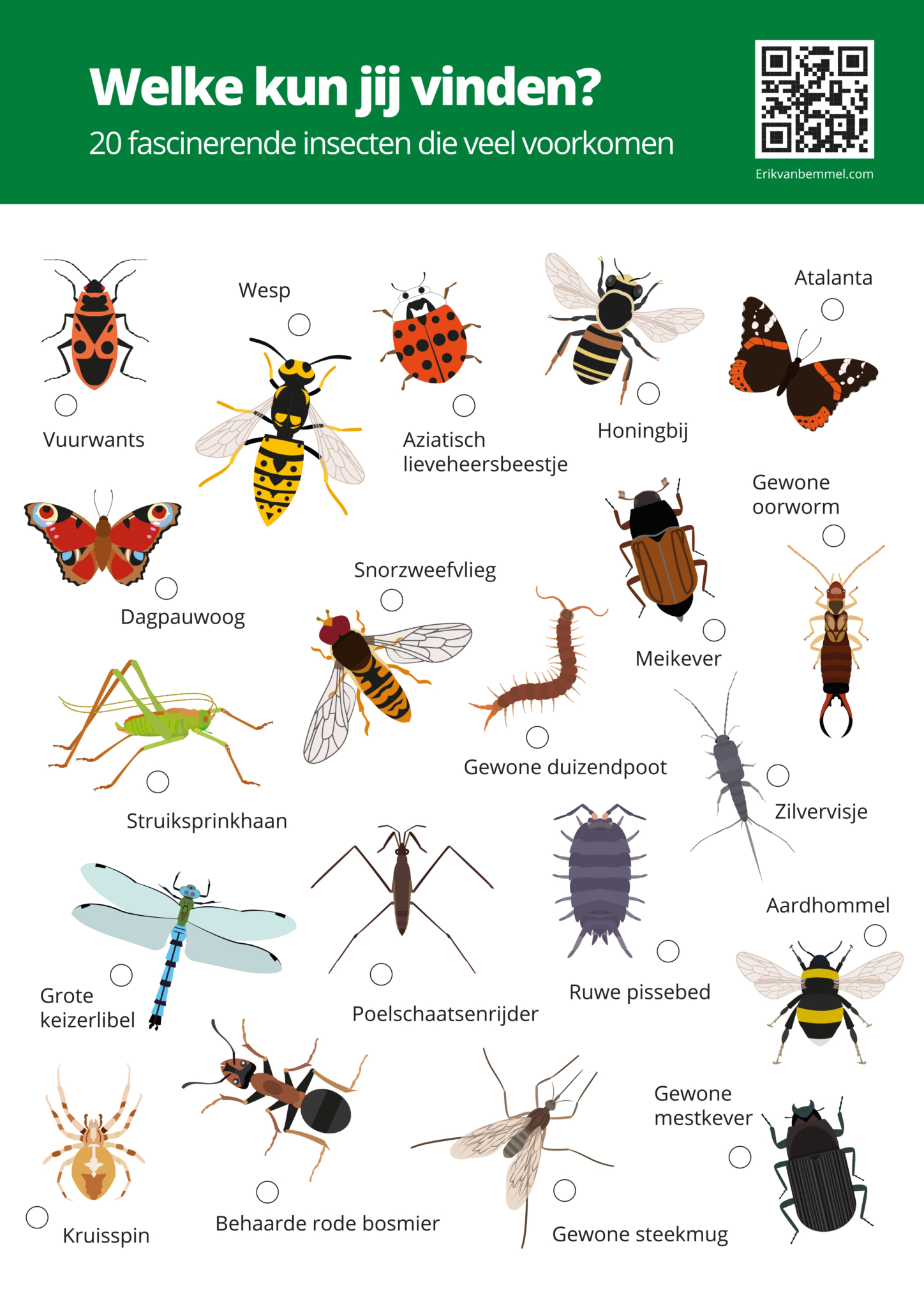 Meer leren over insecten - Erikvanbemmel.com